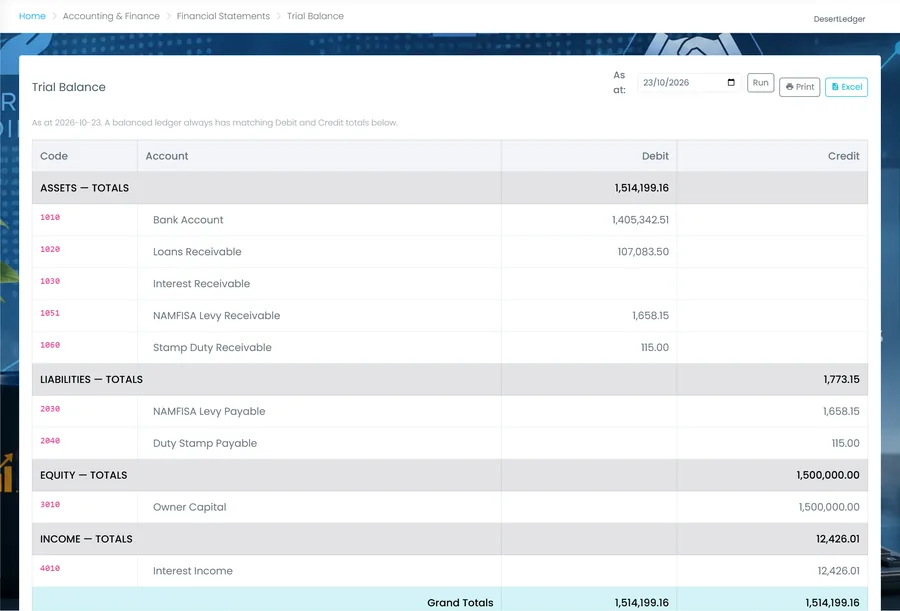 A trial balance report